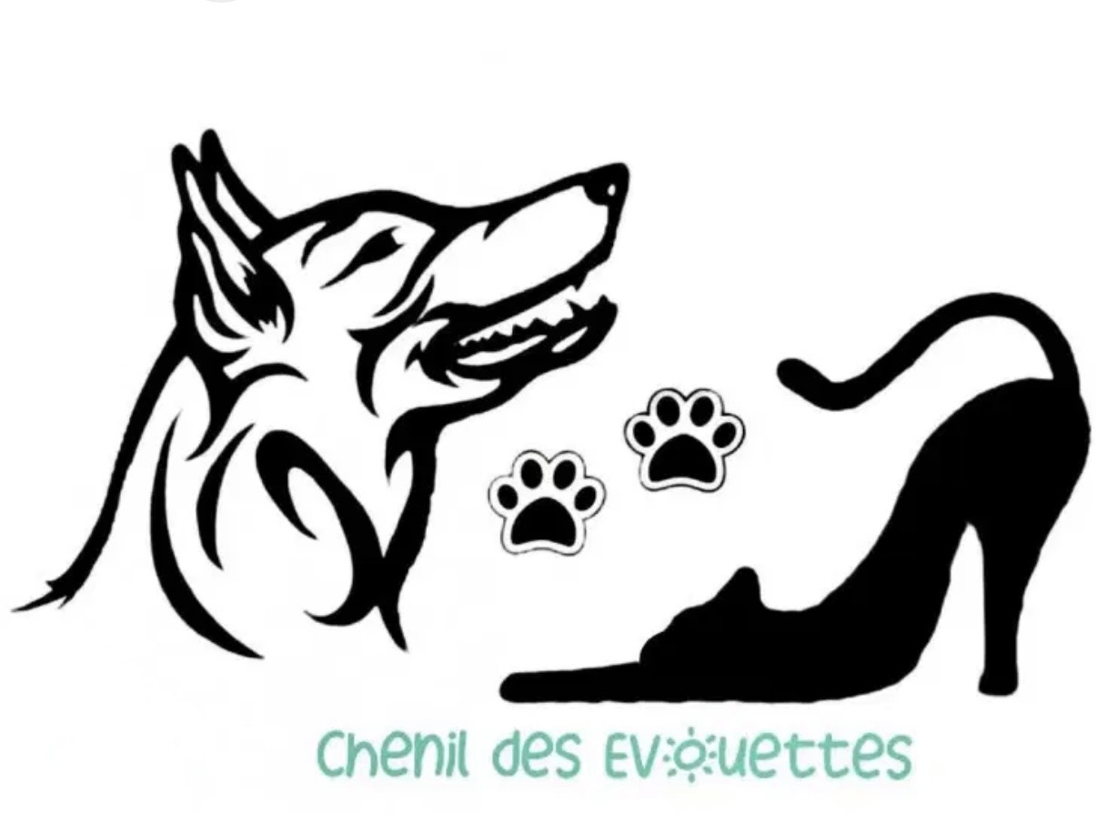 Logo du Chenil des Évouettes